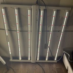 Luxx LED 645W