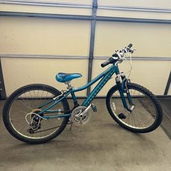 Raven youth girls bike  (Ages 9-12)