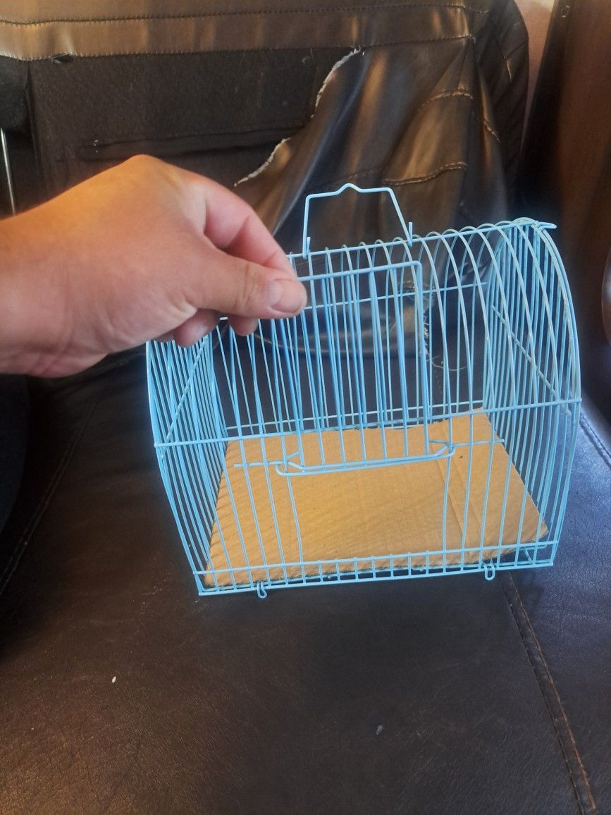 Bird Cage