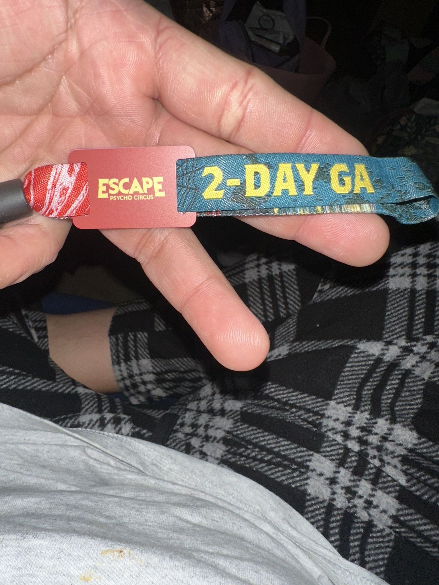 Rave 2-day Pass