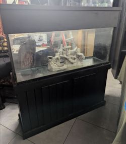 55 gallon aquarium