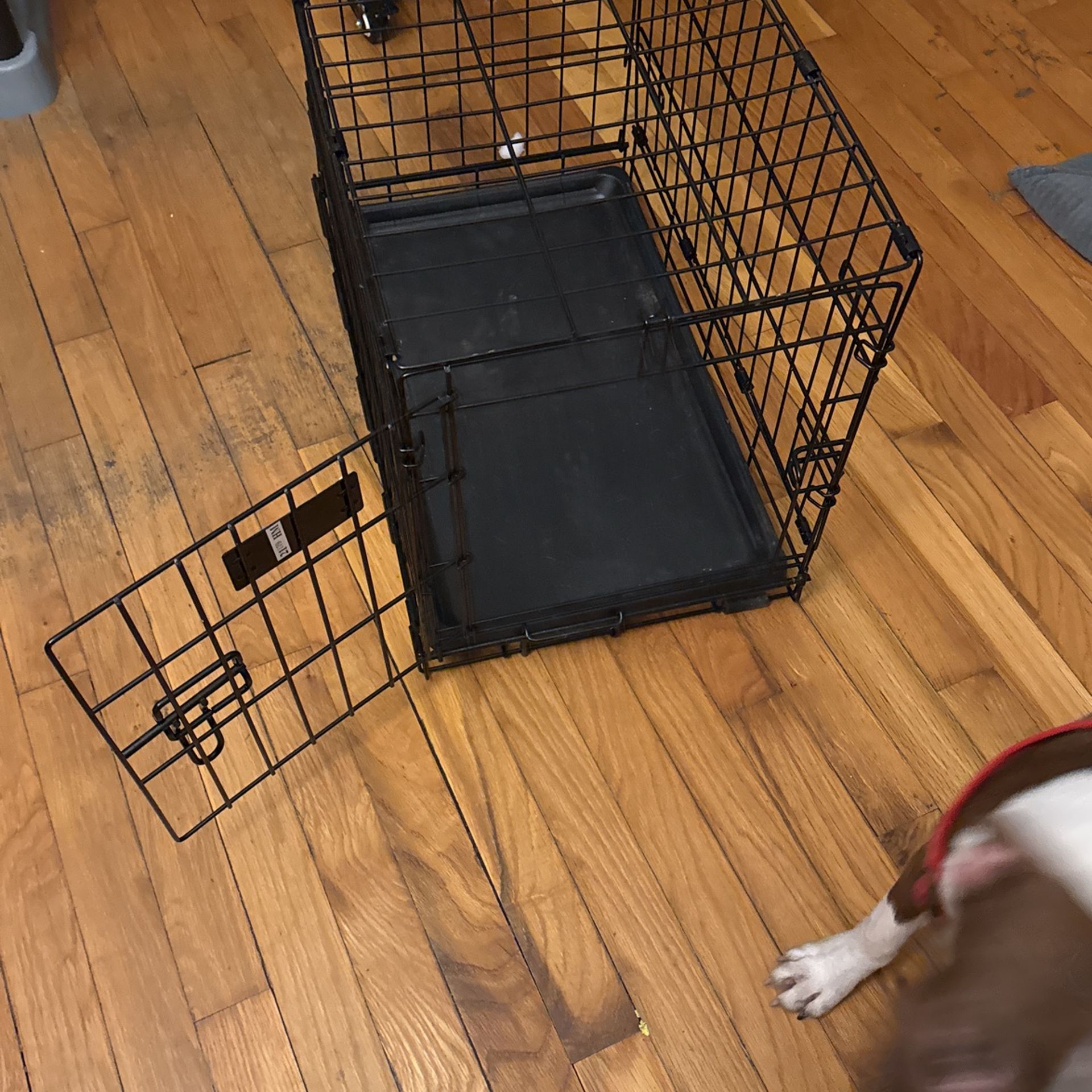 Little Dog Cage