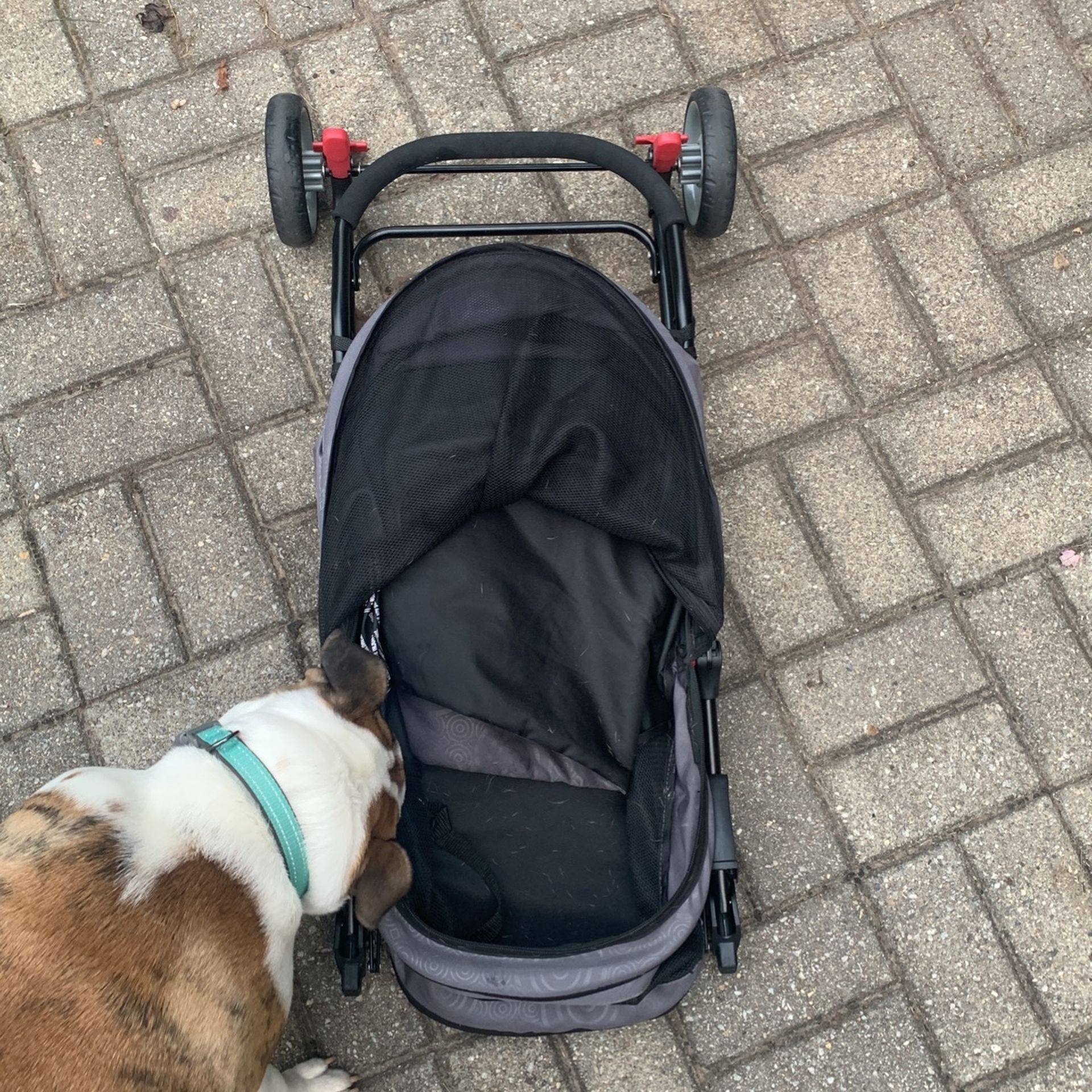 Pet Stroller