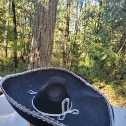 Mariachi Hat 