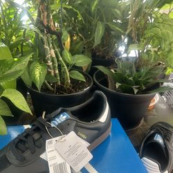 Adidas Samba OG (Never worn)(BRAND NEW) (9.5)men