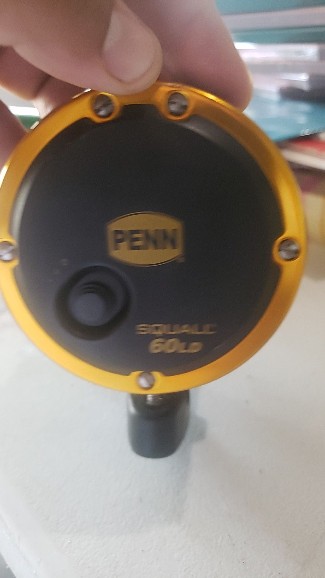 Penn squall rod and reel