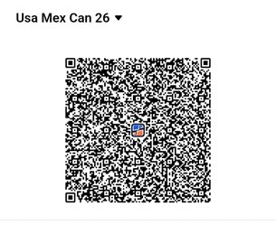 fifa panini world cup sticker