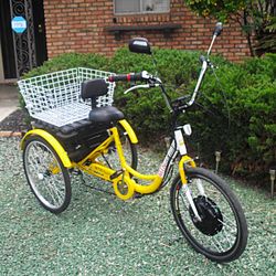 Mtn gearsmith cheap tricycle