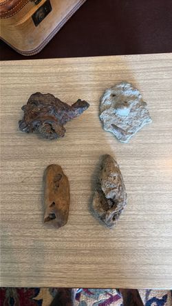 Indigenous effigy stones