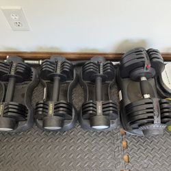 ativafit adjustable dumbbell 27.5 lbs Set Or Single