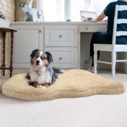 Pet Mat 
