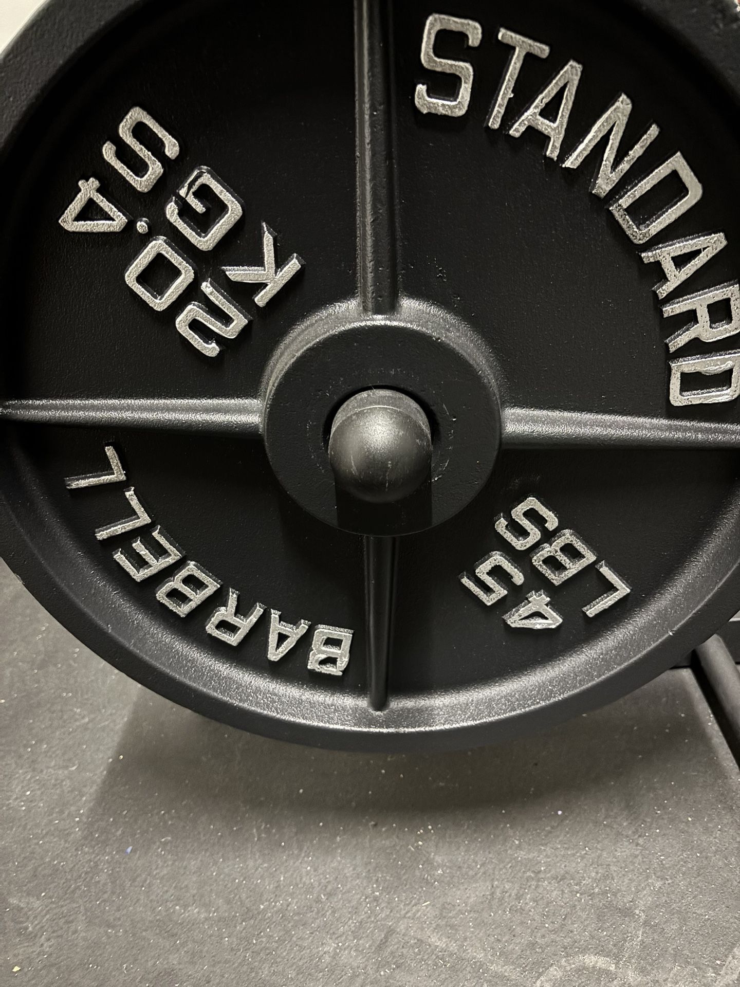 45lb Weight Plates