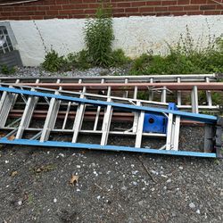 5 Ladders (Different Sizes)