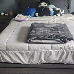 Full Size Bed Frame Only $400 With Mattress And Box Spring $600