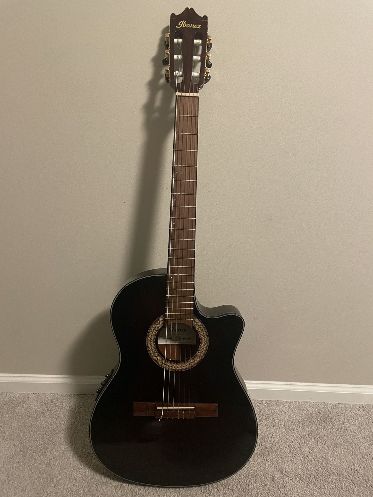 Used Ibanez Guitar $260