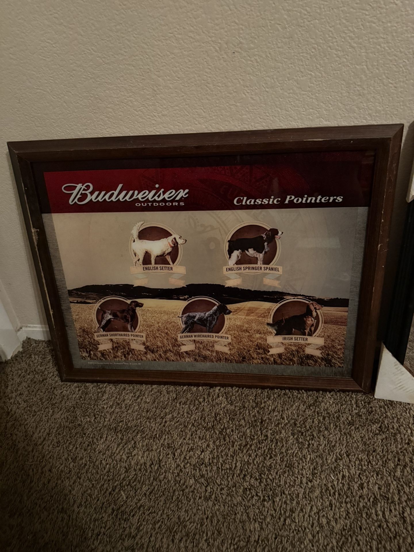 Frames