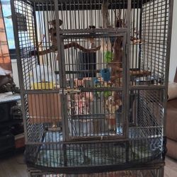 Lg. Parrot Cage