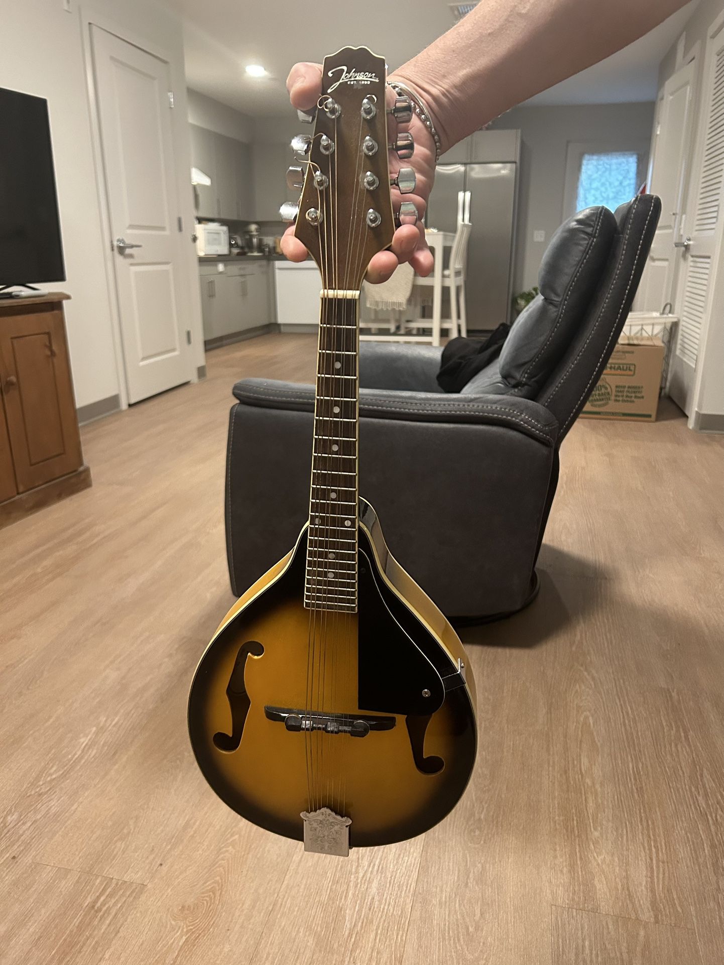 Johnson MA-100 Mandolin
