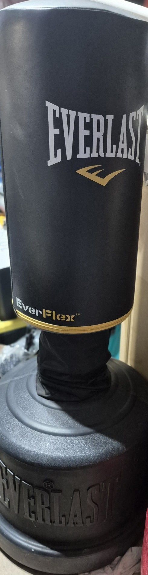 Punching Bag With Gloves