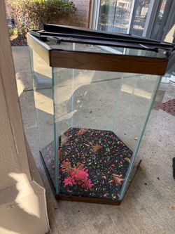 Aquarium