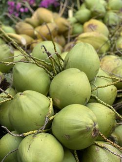 Fresh coconuts .50c each