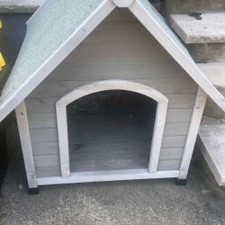 dog house 