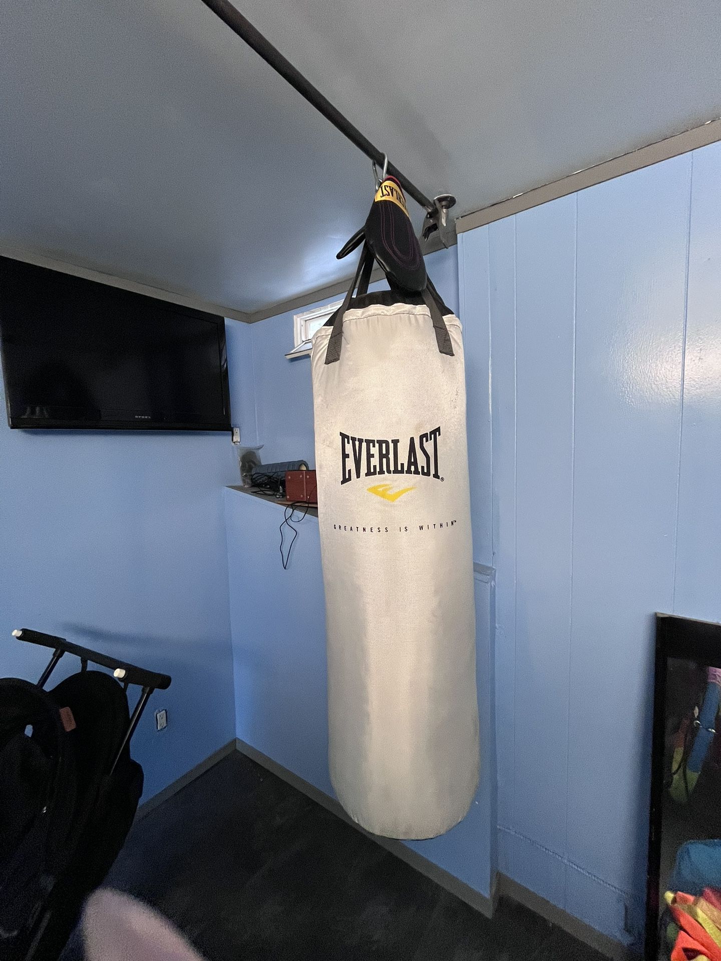 Everlast  Punching Bag With Gloves For Sale 