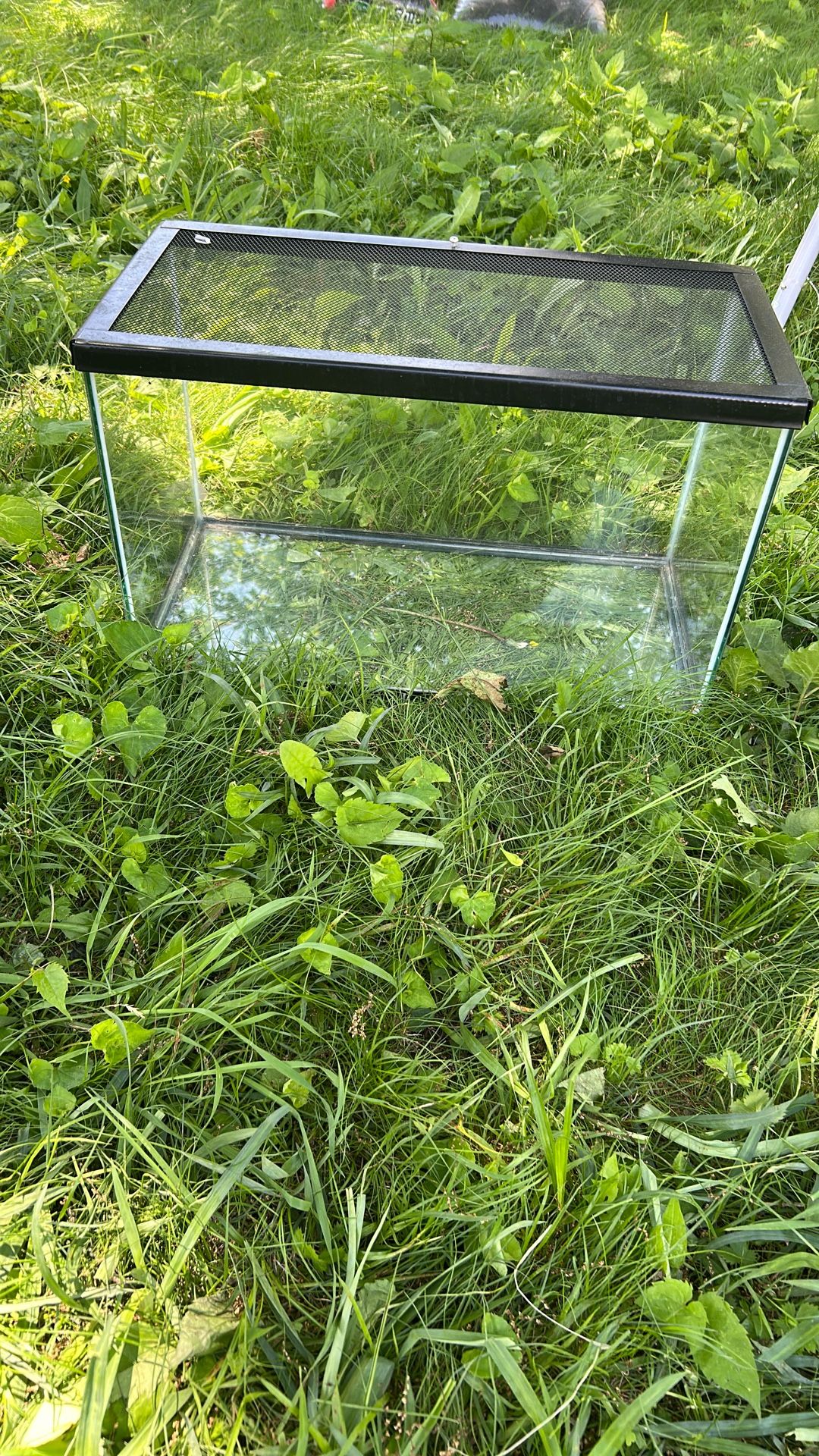 Reptile Tank