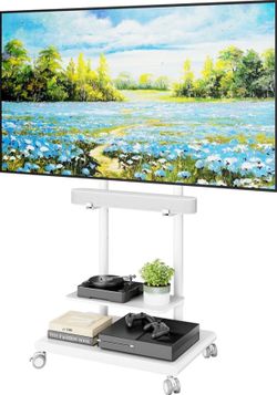 Rolling TV stand with storage