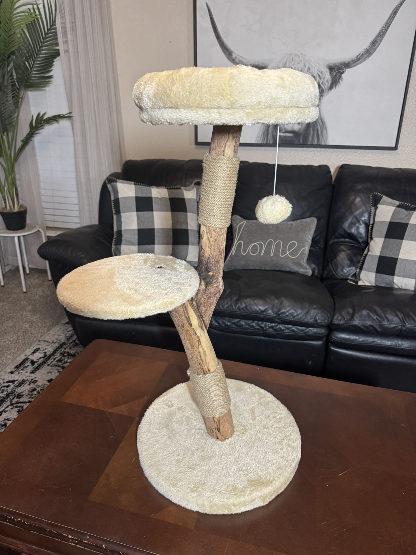 New Driftwood Cat Tree