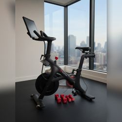 2019 Peloton Bike Works Well 201-500 Rides - CA, USA