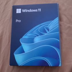 windows 11 pro