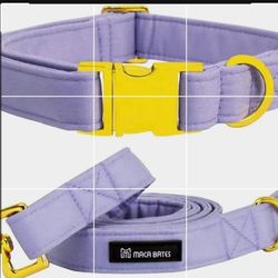 Dog Collar / Leash Combo