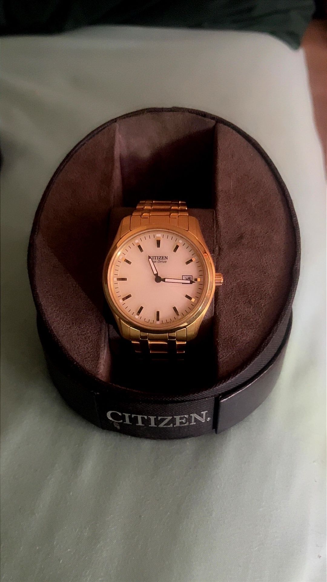 Citizen Eco-Drive Solar Powered Watch