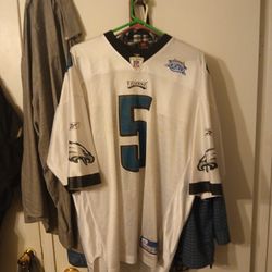 Donovan McNabb Super Bowl Jersey