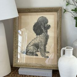 Vintage Original Poodle Portrait Wall Framed Art French Country Cottage Signed Initials 20x16” Artist Wall Hanging 	•	vintage wall art 	•	framed art 	