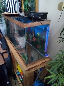 55gallon tank