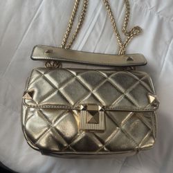 Golden Purse