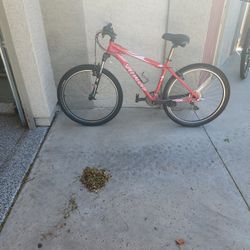 Rockhopper Specialized Bike