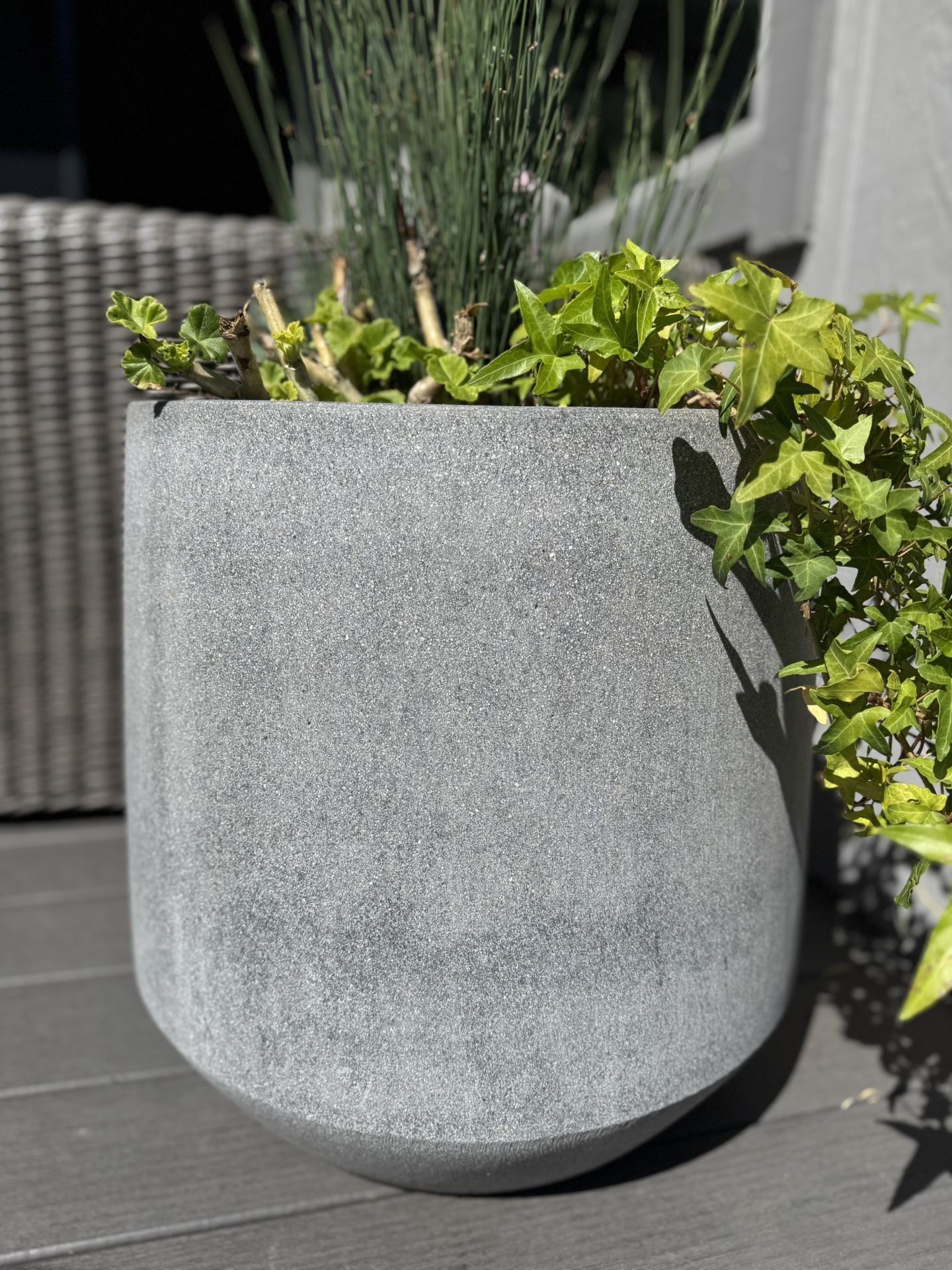 Solid Concrete Flower Pot
