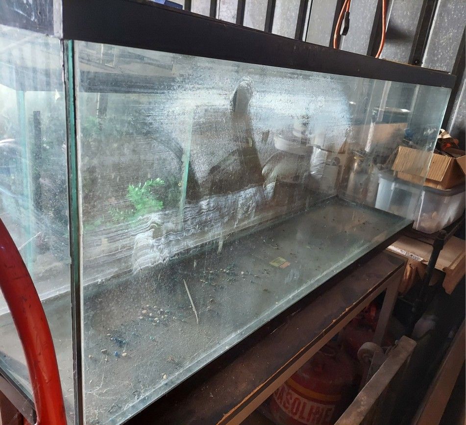 Fish 🐟 Tank 55GALLON