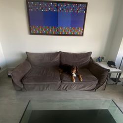 Luxurious Grey Suede Couch Normal Wear