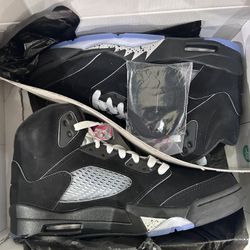 Air Jordan 5 “ Metallic”