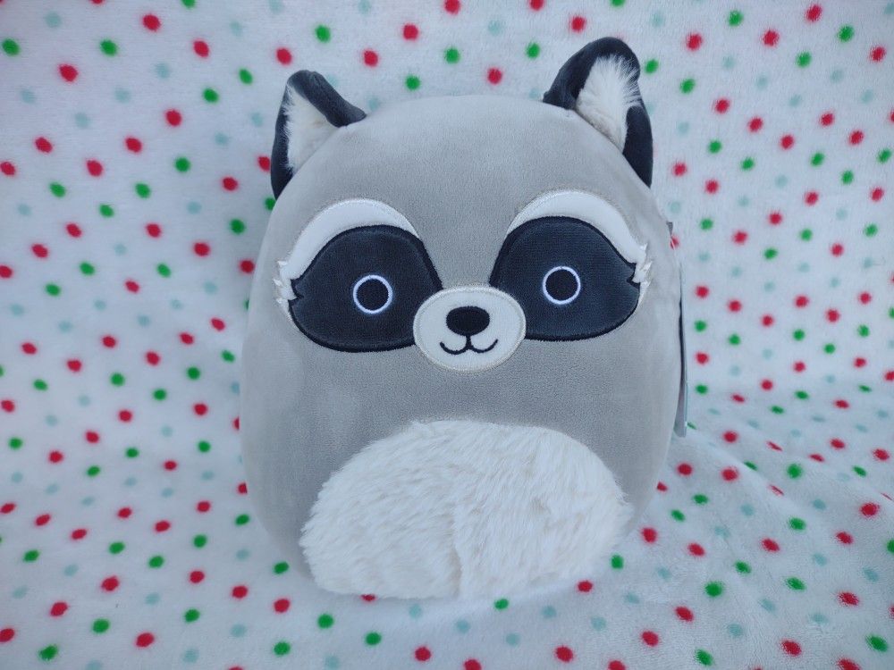Squishmallow
• Rocky the raccoon
• 8 inch