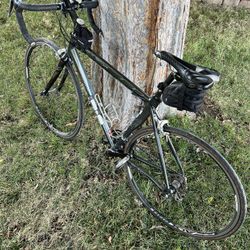 Specialized Road Bike Adult 