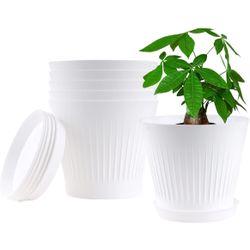 6 Packs Planters Pots