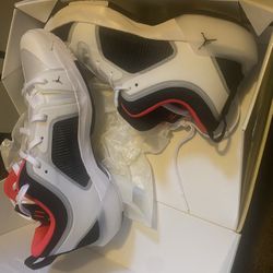 Mens Size 14 Air Jordan XXXVII 37 Shoes