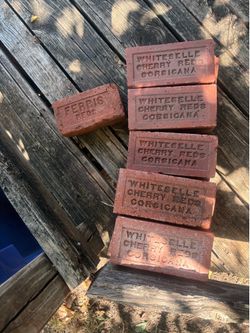 Antique bricks and petrified wood ann rocks