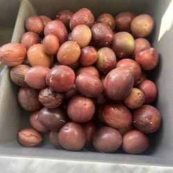 Organic Passion Fruit