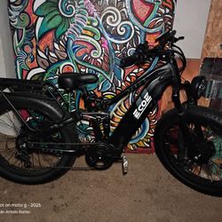 ECOE EBIKE